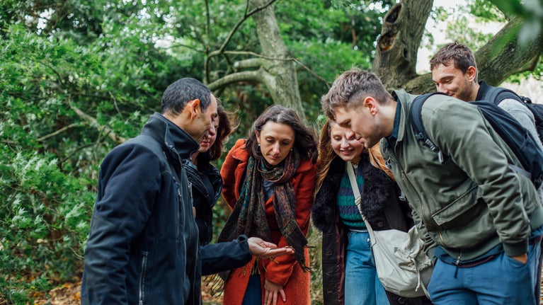 Guided tour in the garden during the Fungi Festival at Emmetts Garden, Kent
